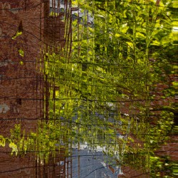 kunst  16 von 19 